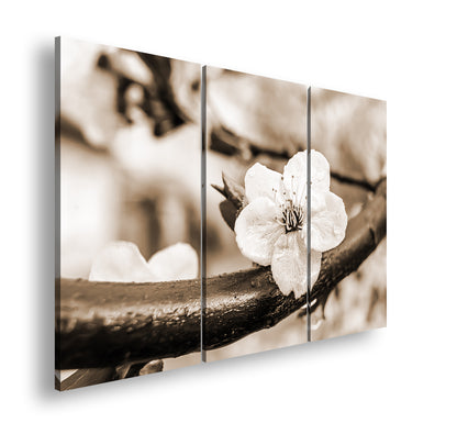 Hauptbild Sepia 3 Teilig