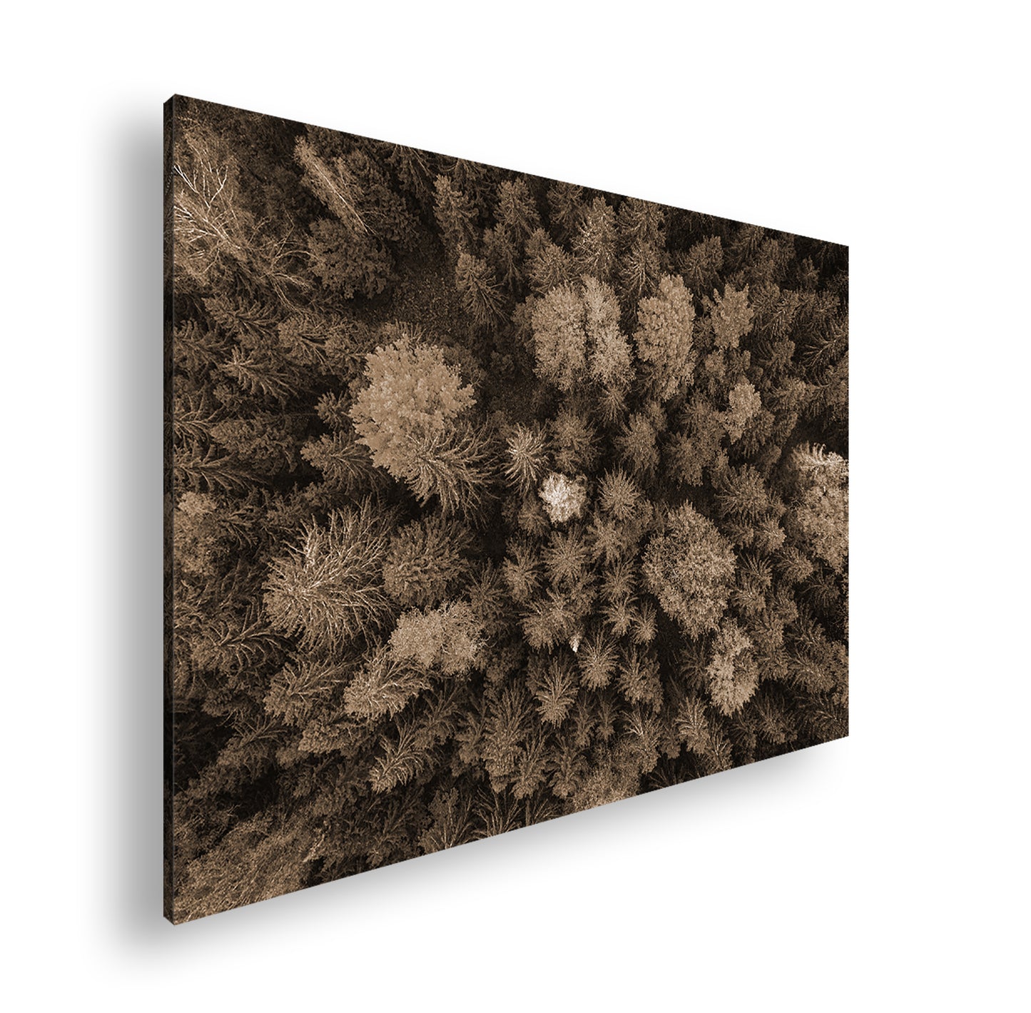 Hauptbild Sepia Standart