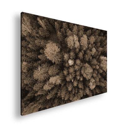 Hauptbild Sepia Standart