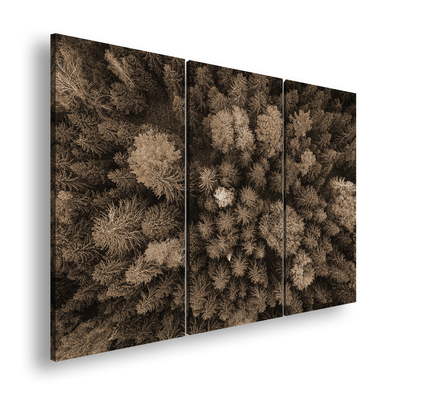 Hauptbild Sepia 3 Teilig