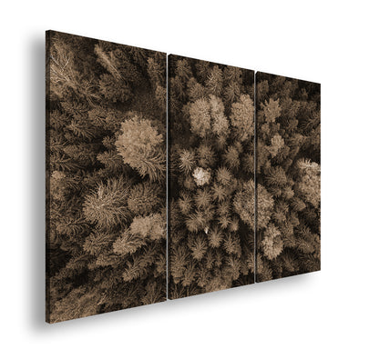 Hauptbild Sepia 3 Teilig