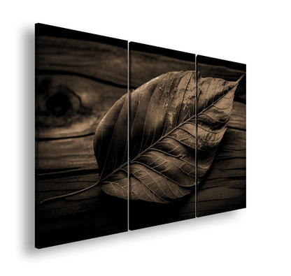 Hauptbild Sepia 3 Teilig