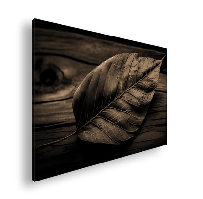 Hauptbild Sepia Standart