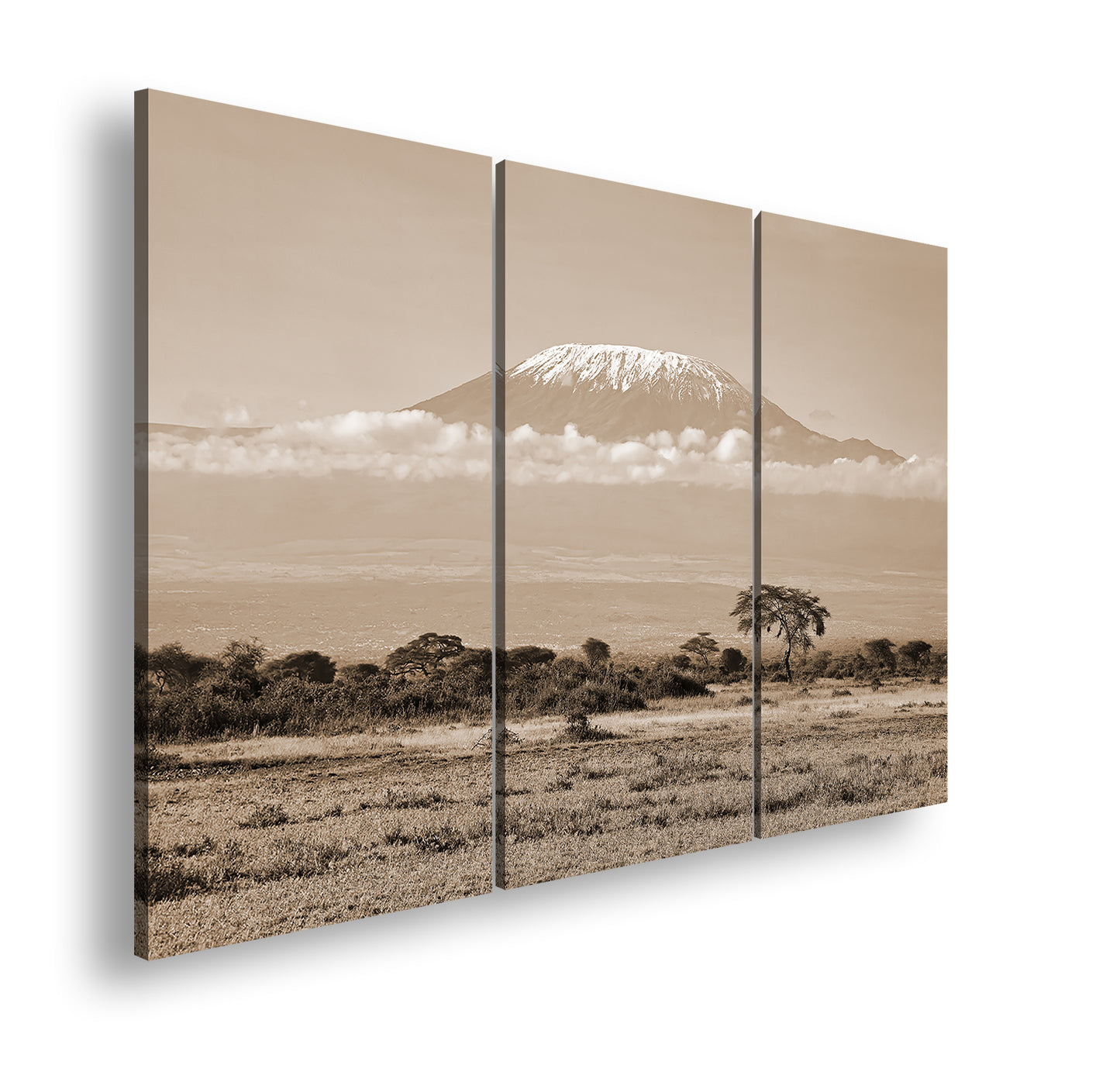 Hauptbild Sepia 3 Teilig