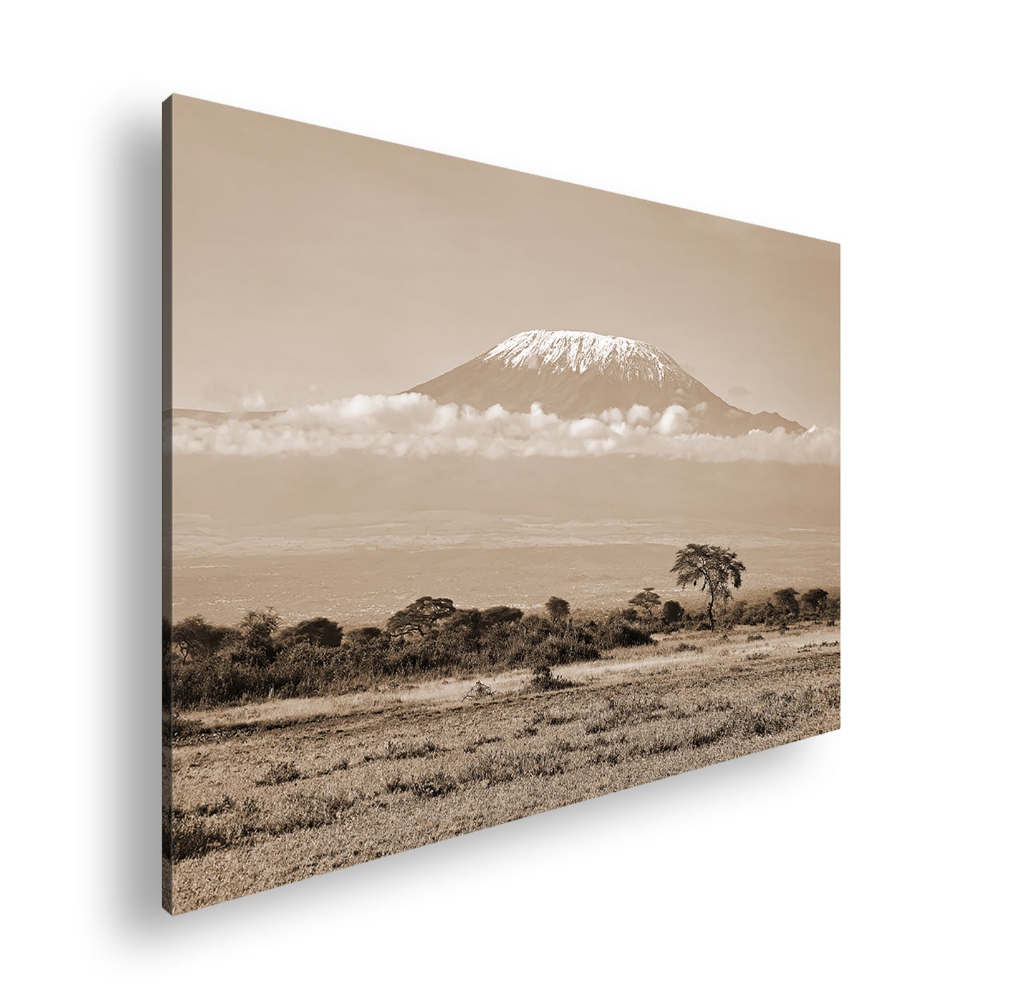 Hauptbild Sepia Standart