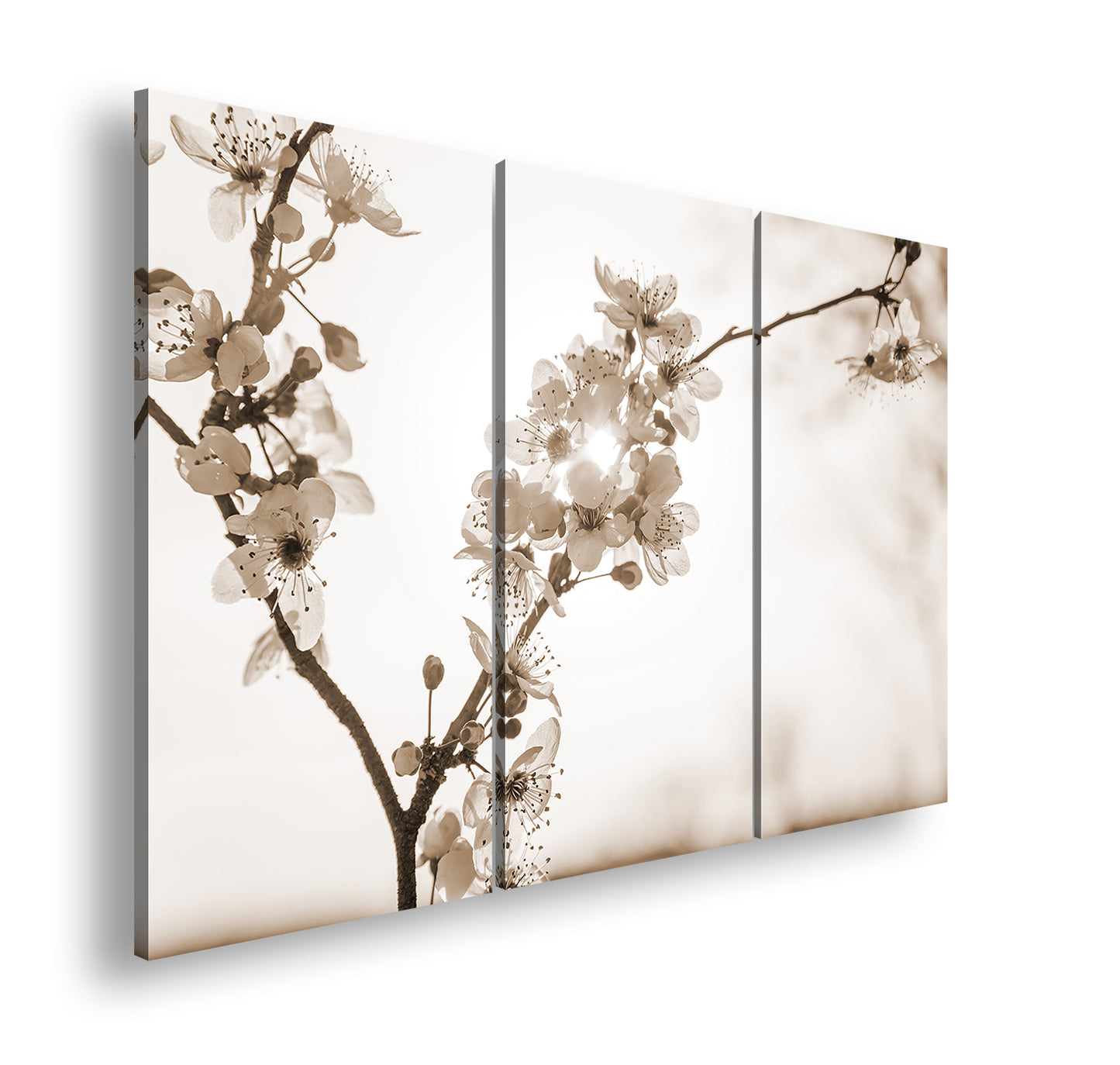 Hauptbild Sepia 3 Teilig