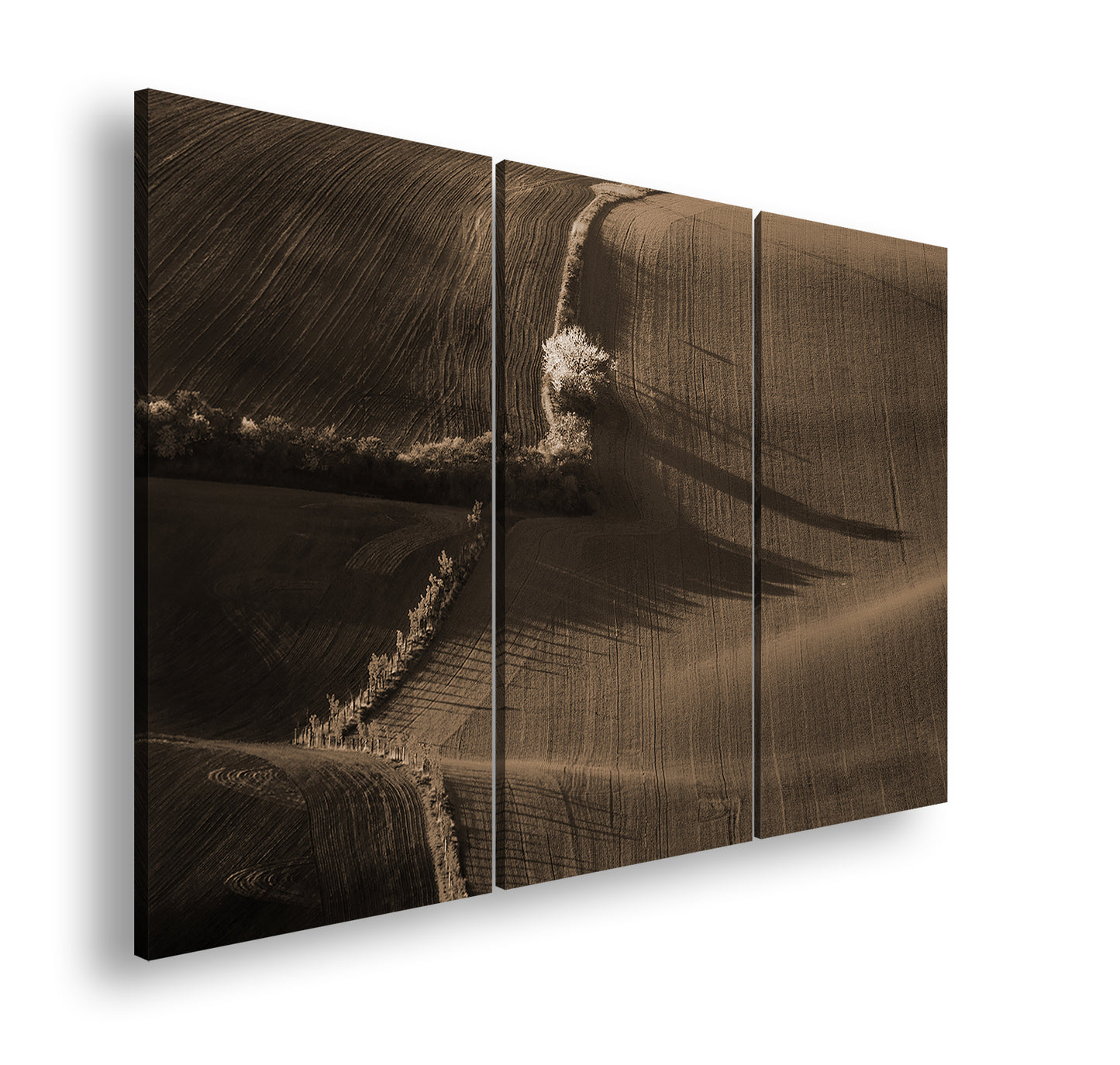 Hauptbild Sepia 3 Teilig