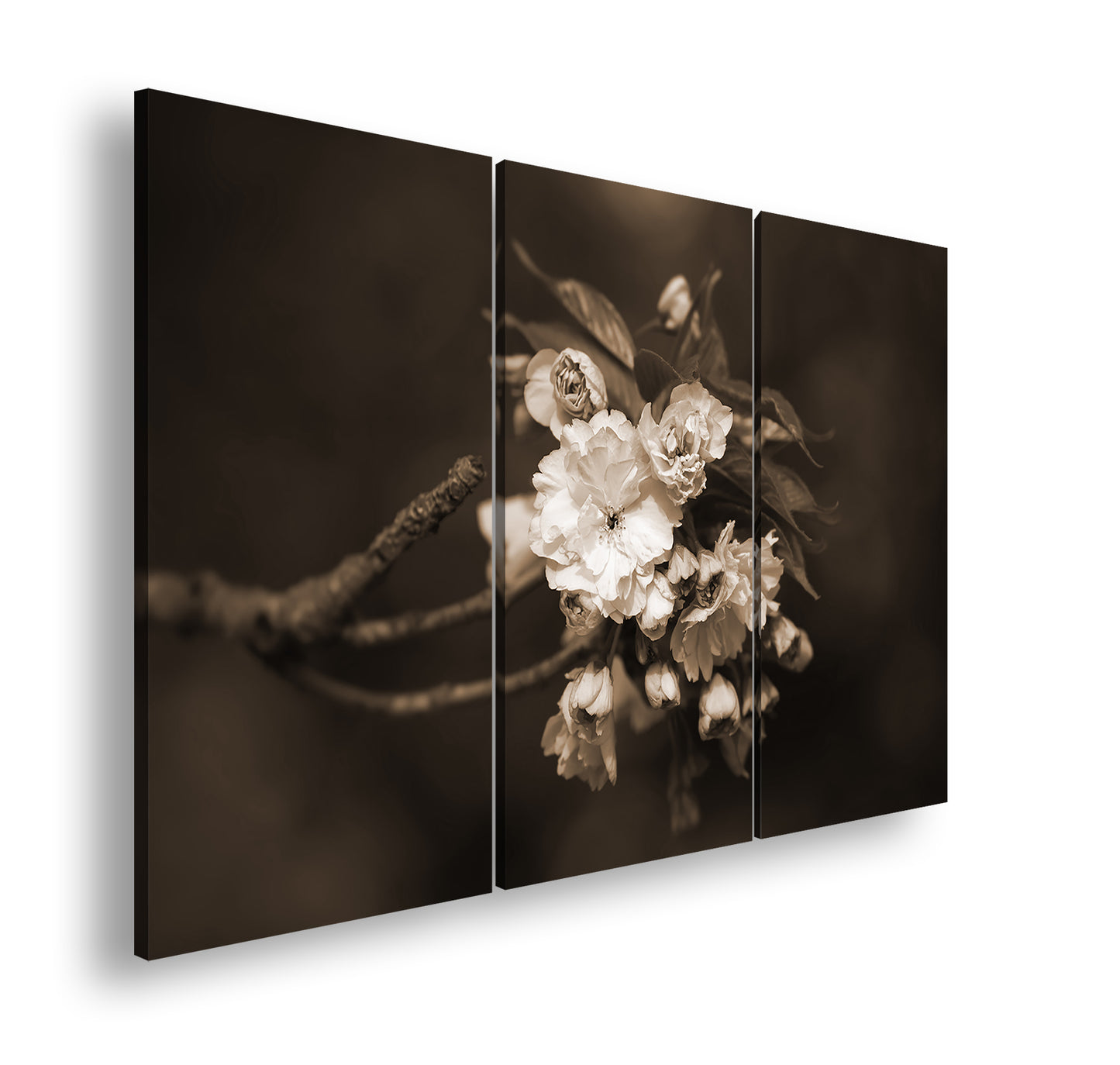 Hauptbild Sepia 3 Teilig