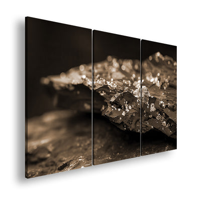 Hauptbild Sepia 3 Teilig