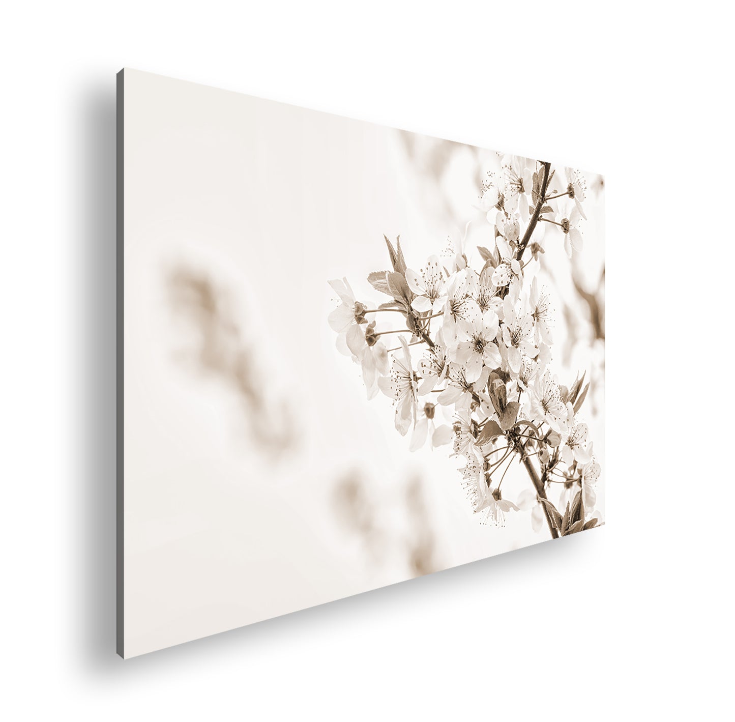 Hauptbild Sepia Standart