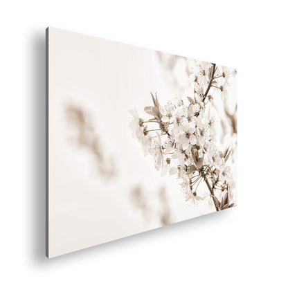 Hauptbild Sepia Standart