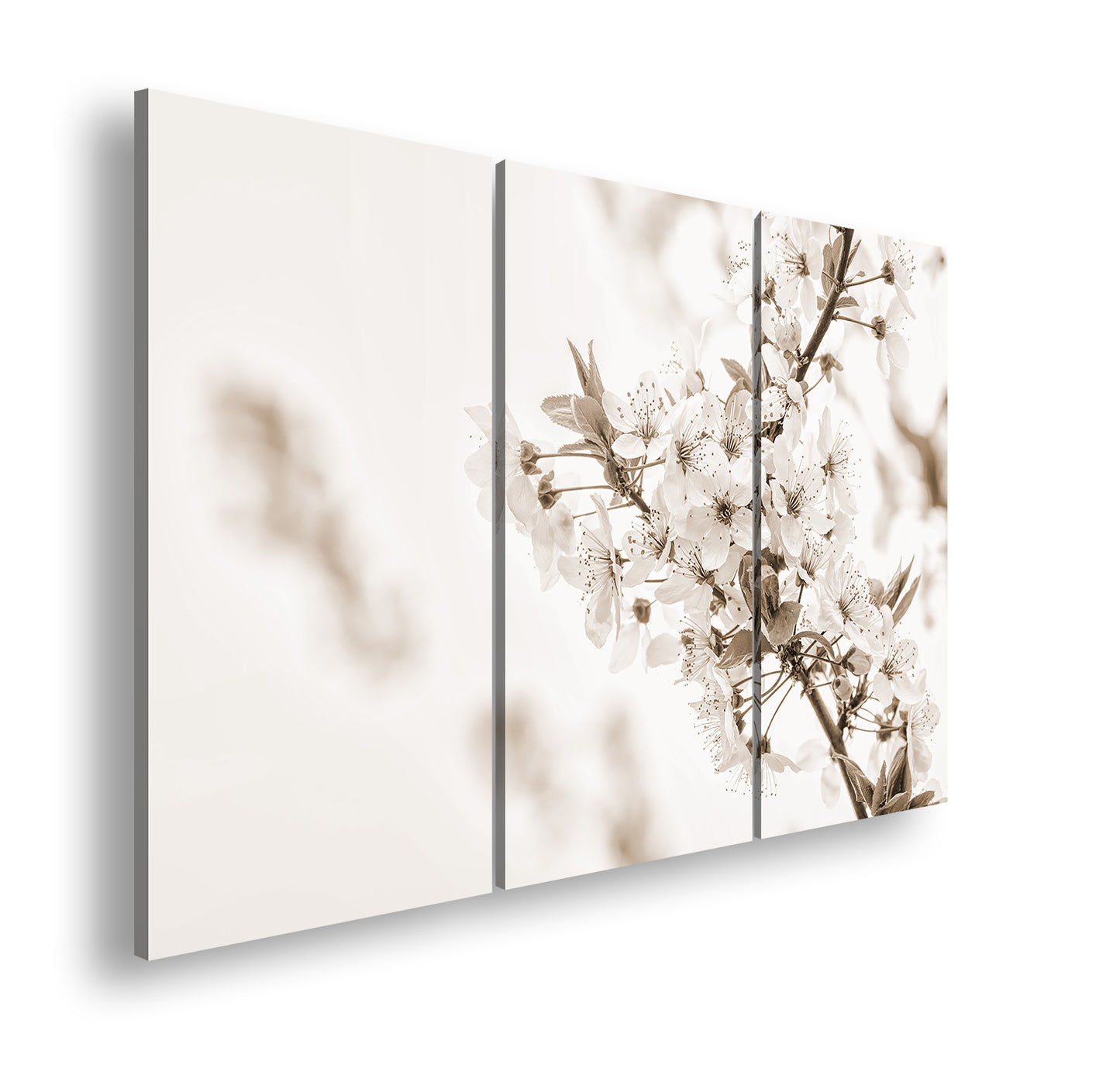 Hauptbild Sepia 3 Teilig