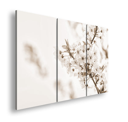 Hauptbild Sepia 3 Teilig