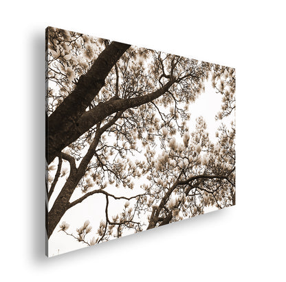 Hauptbild Sepia Standart