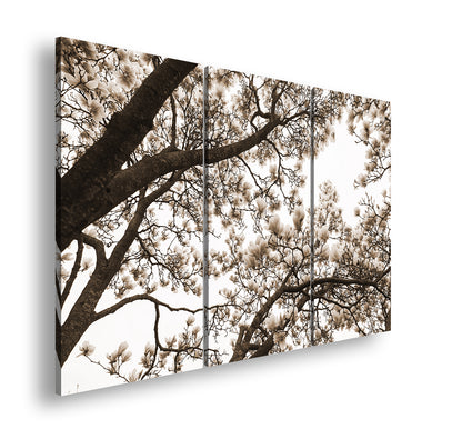 Hauptbild Sepia 3 Teilig