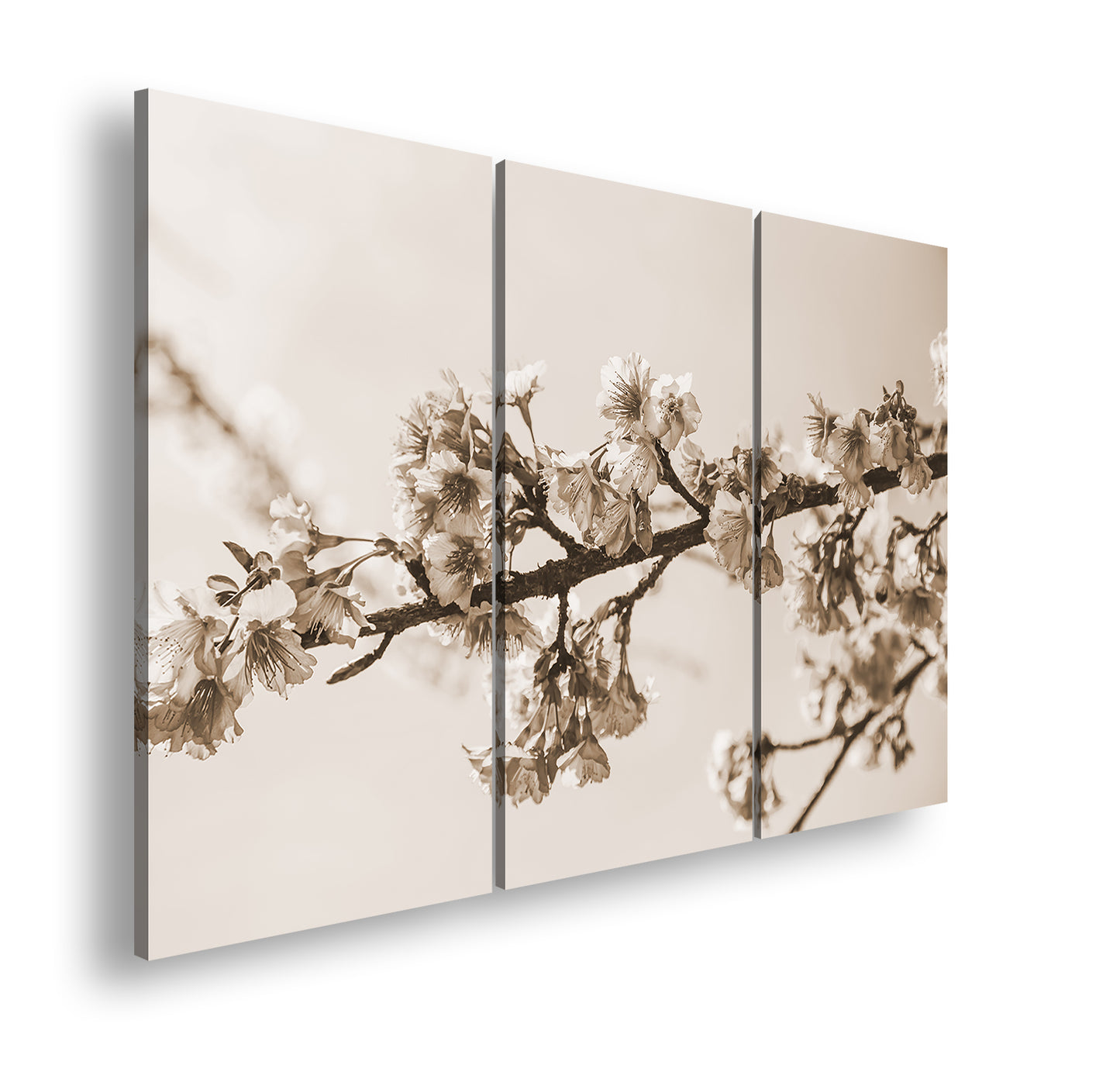 Hauptbild Sepia 3 Teilig