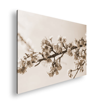 Hauptbild Sepia Standart