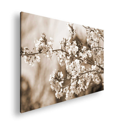 Hauptbild Sepia Standart