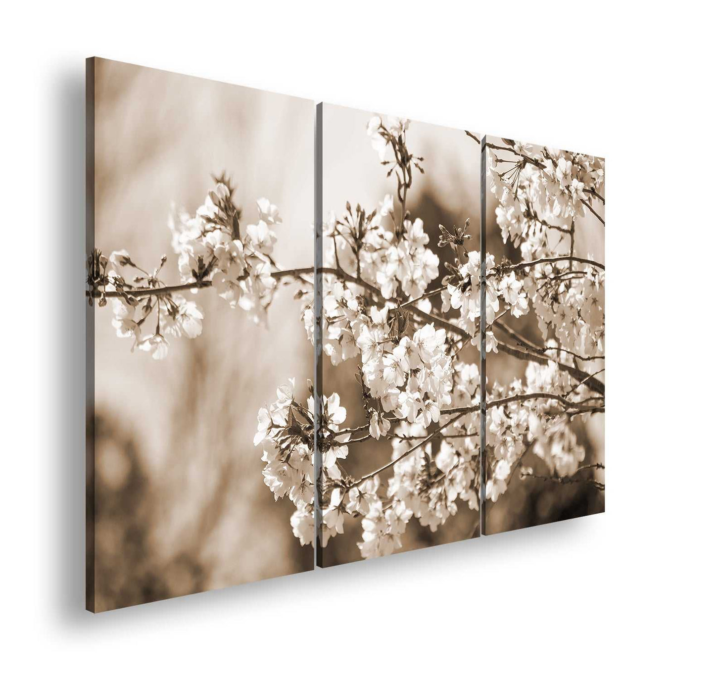 Hauptbild Sepia 3 Teilig