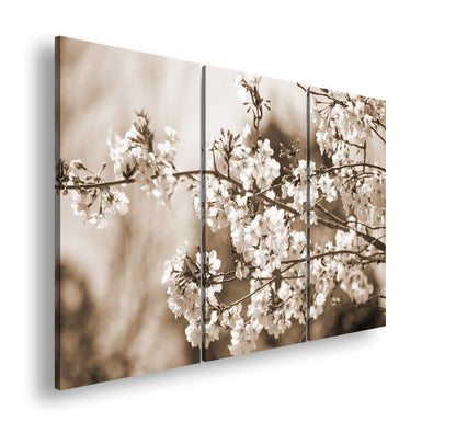 Hauptbild Sepia 3 Teilig