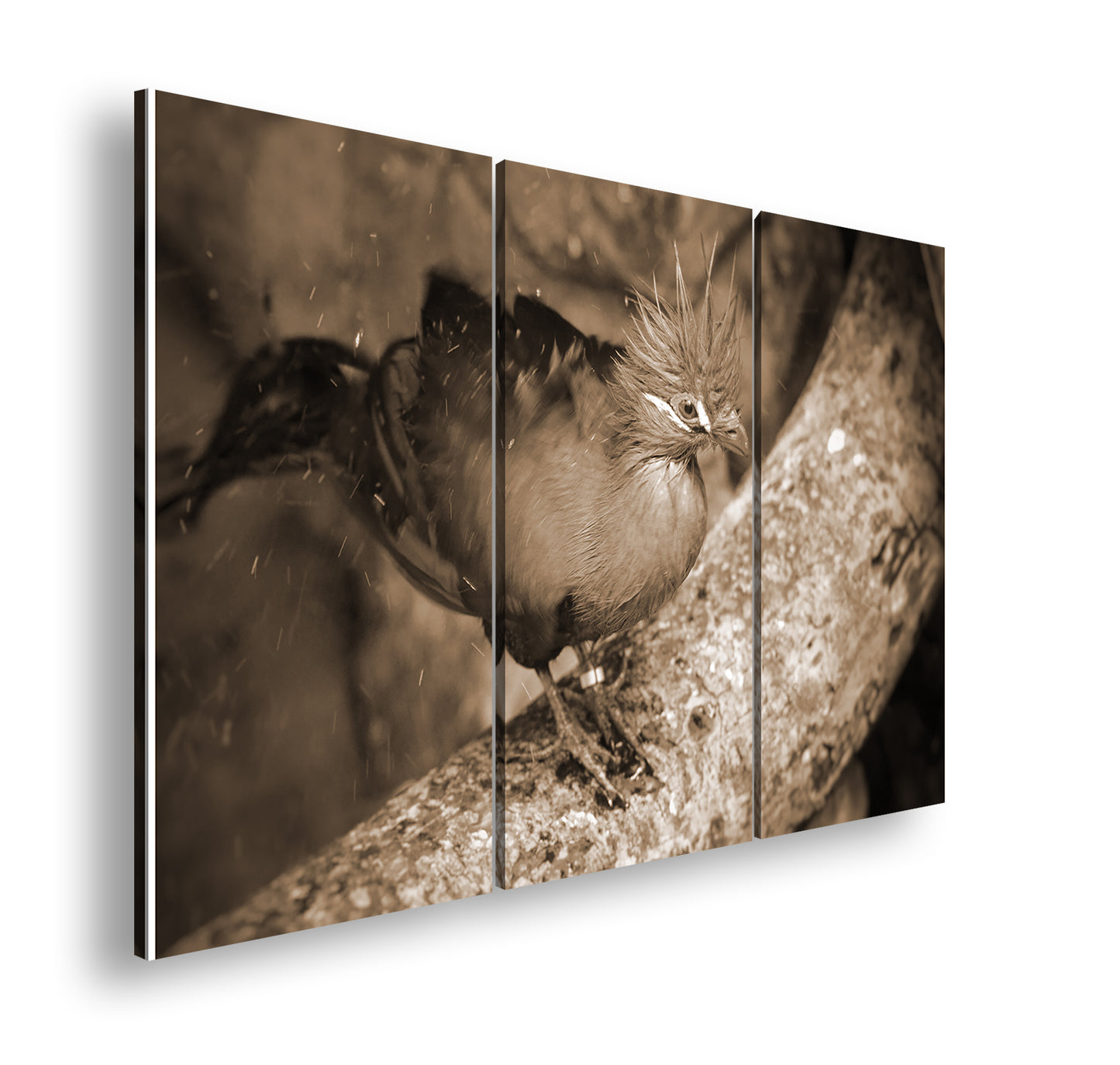 Hauptbild Sepia 3 Teilig