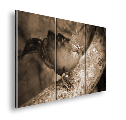 Hauptbild Sepia 3 Teilig