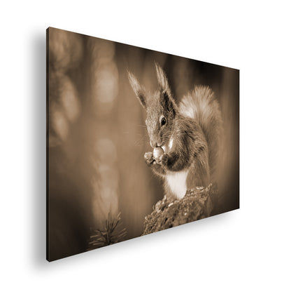 Hauptbild Sepia Standart