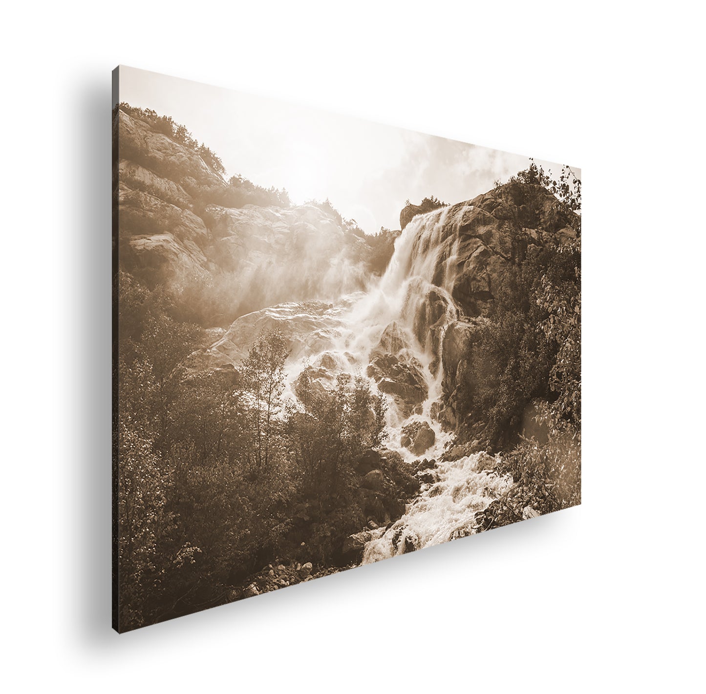 Hauptbild Sepia Standart