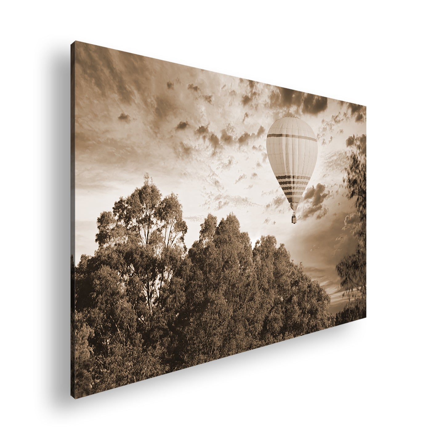 Hauptbild Sepia Standart