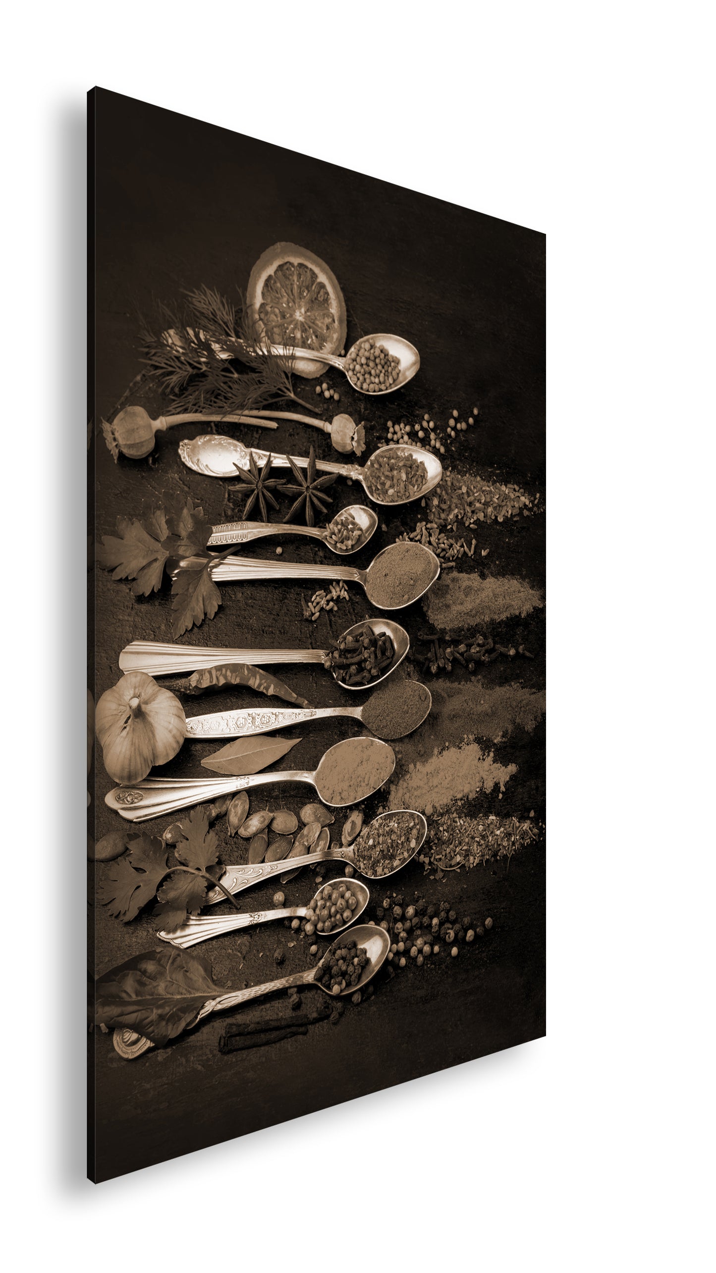 Hauptbild Sepia Standart