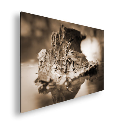 Hauptbild Sepia Standart