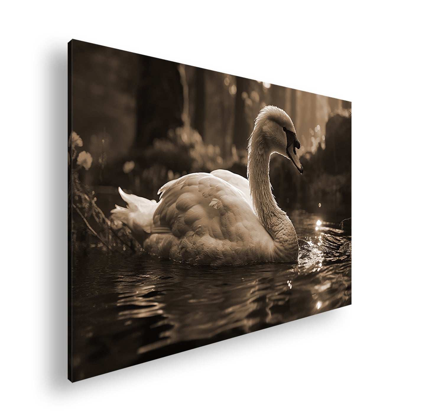 Hauptbild Sepia Standart