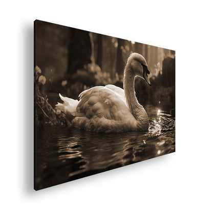 Hauptbild Sepia Standart