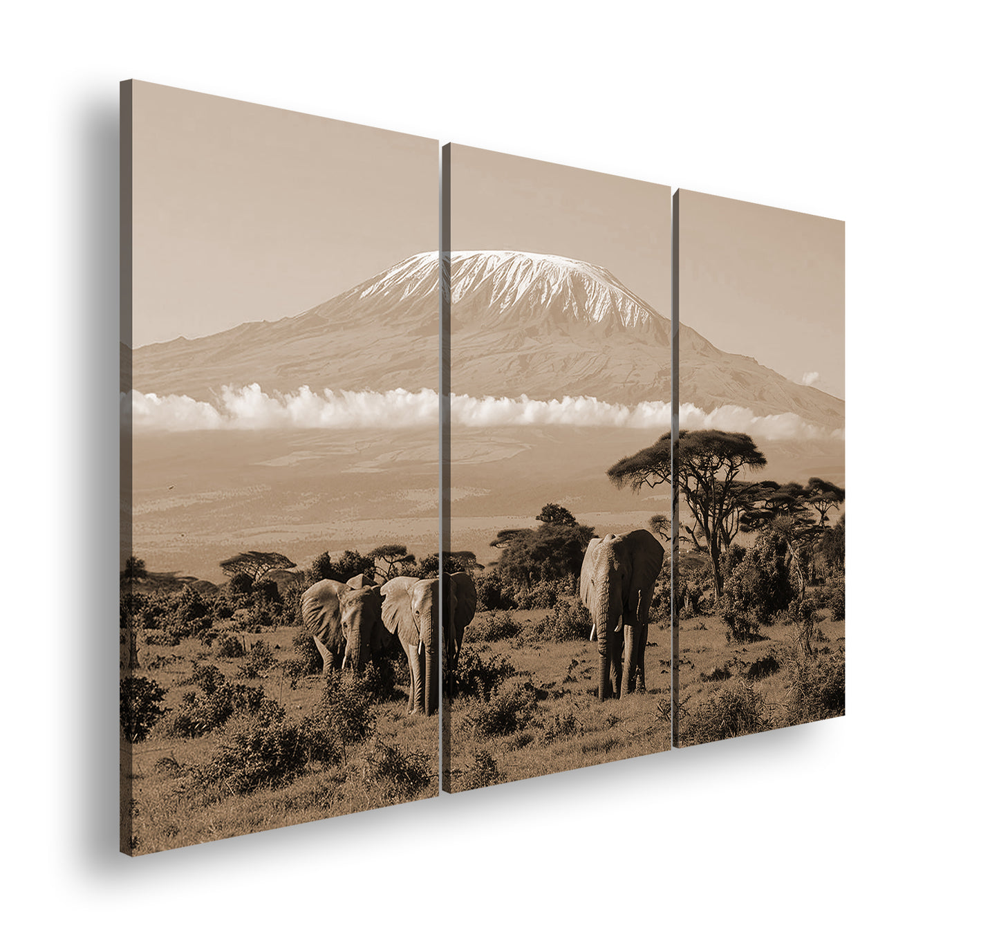 Hauptbild Sepia 3 Teilig