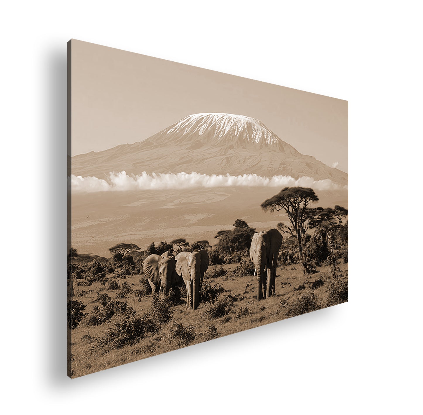 Hauptbild Sepia Standart