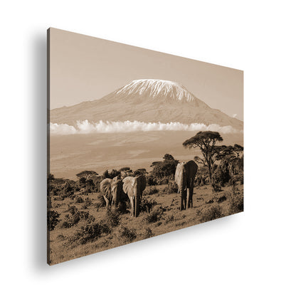 Hauptbild Sepia Standart