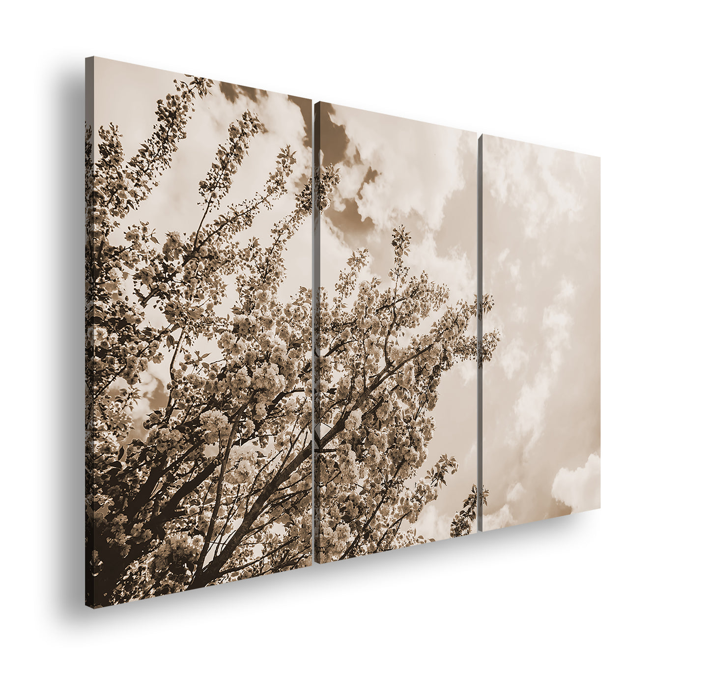 Hauptbild Sepia 3 Teilig