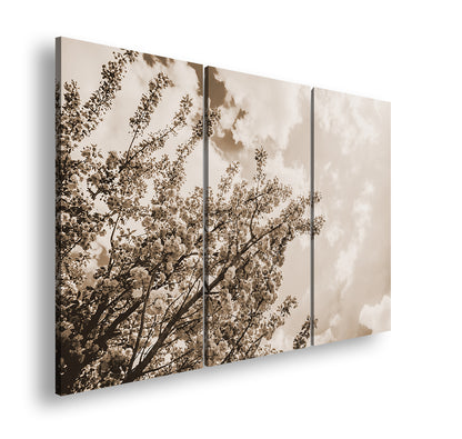 Hauptbild Sepia 3 Teilig