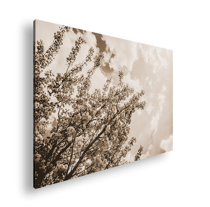 Hauptbild Sepia Standart