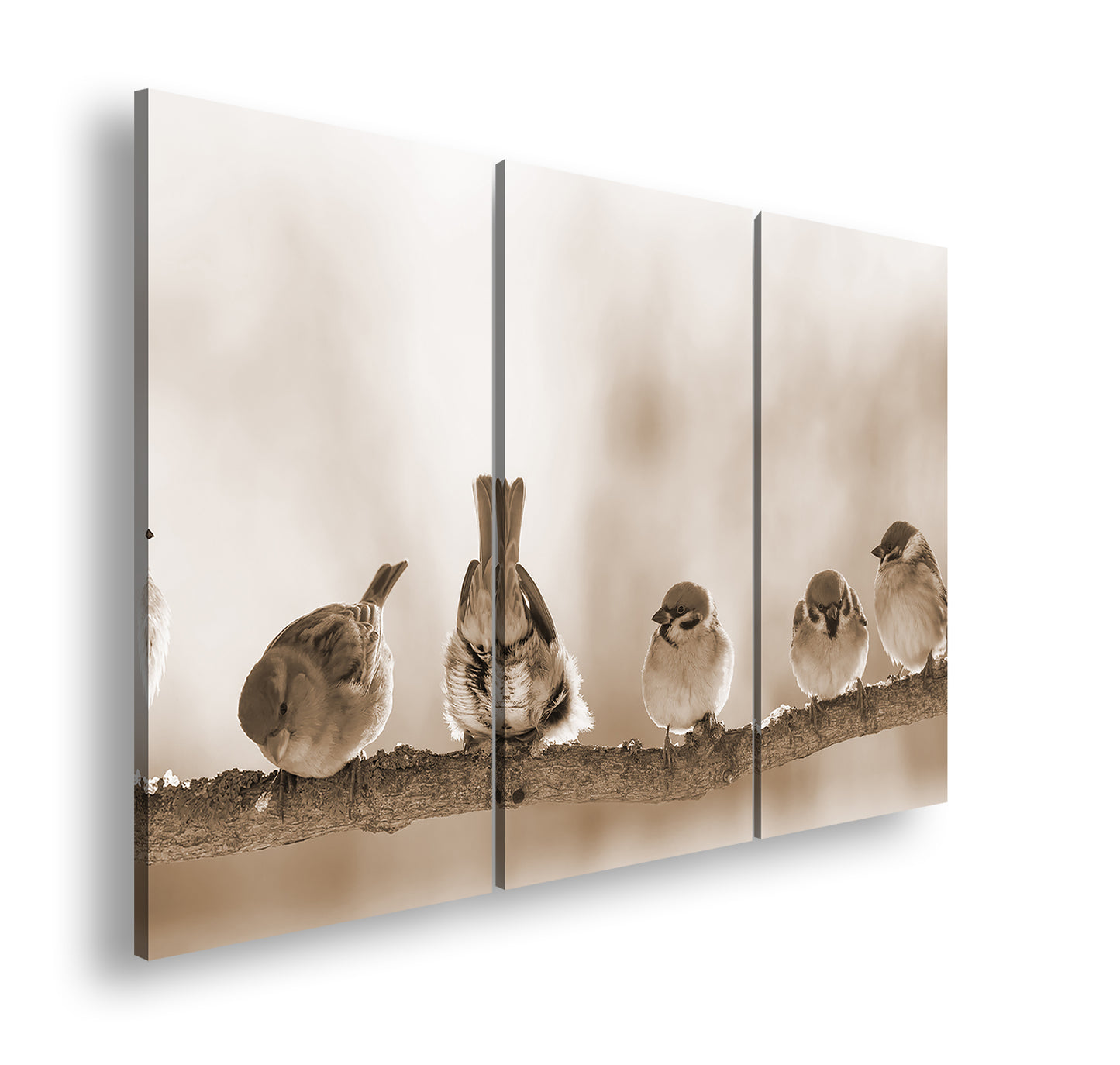 Hauptbild Sepia 3 Teilig