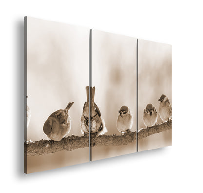 Hauptbild Sepia 3 Teilig