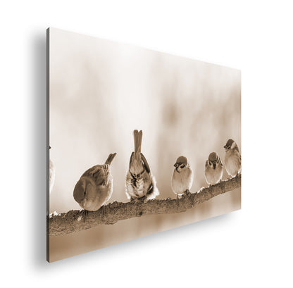 Hauptbild Sepia Standart