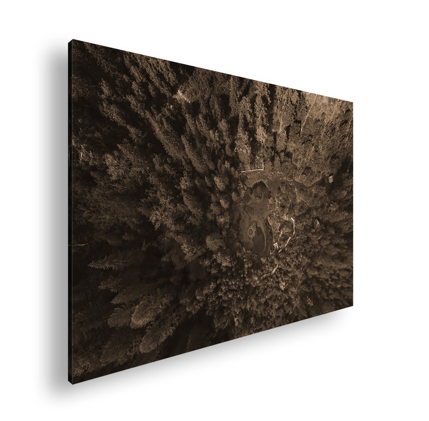 Hauptbild Sepia Standart