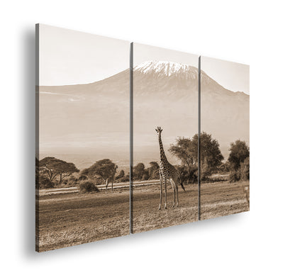 Hauptbild Sepia 3 Teilig