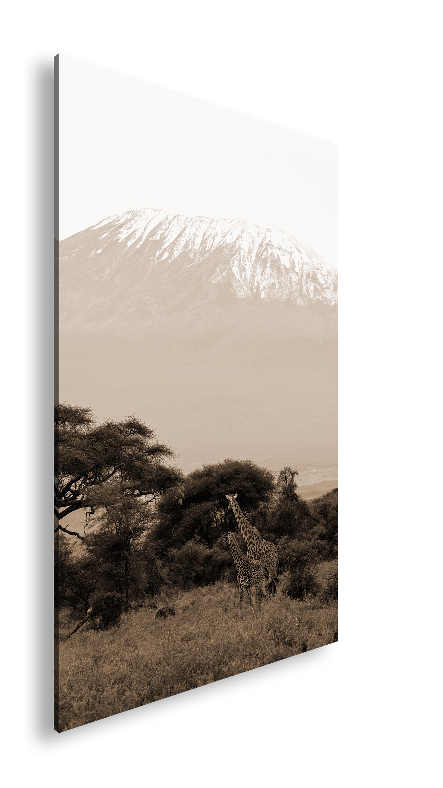 Hauptbild Sepia Standart