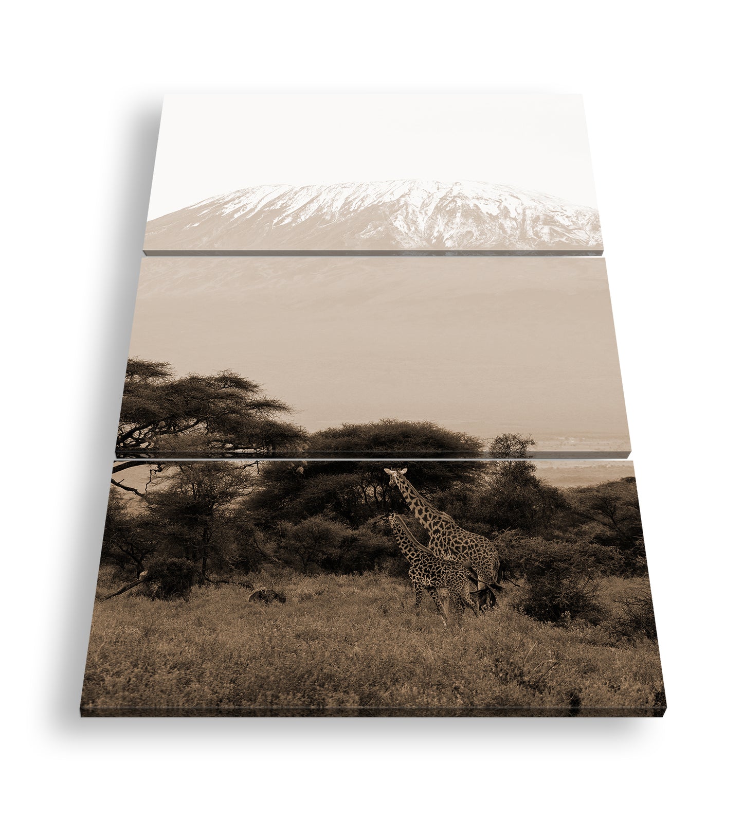 Hauptbild Sepia 3 Teilig