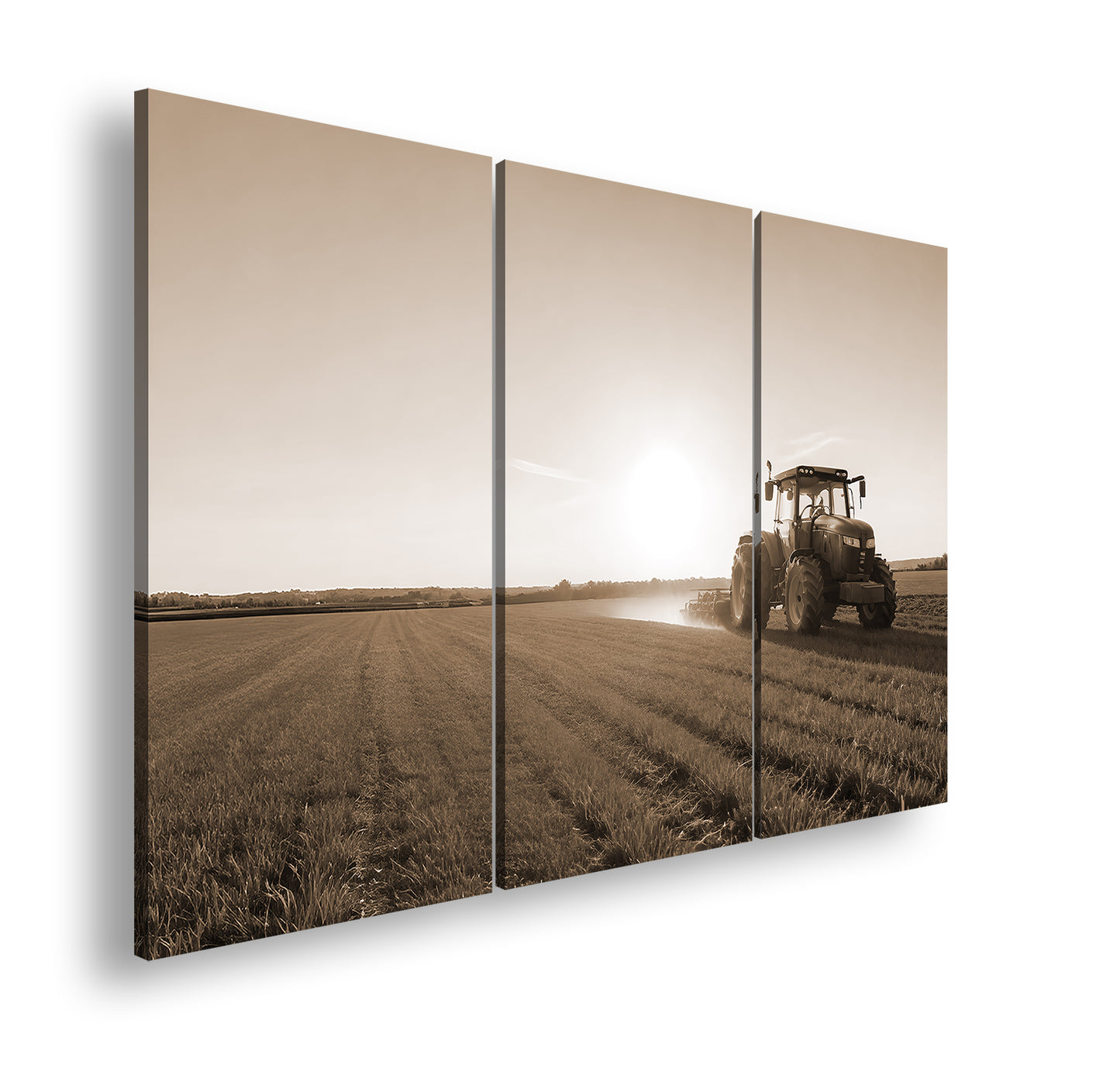 Hauptbild Sepia 3 Teilig