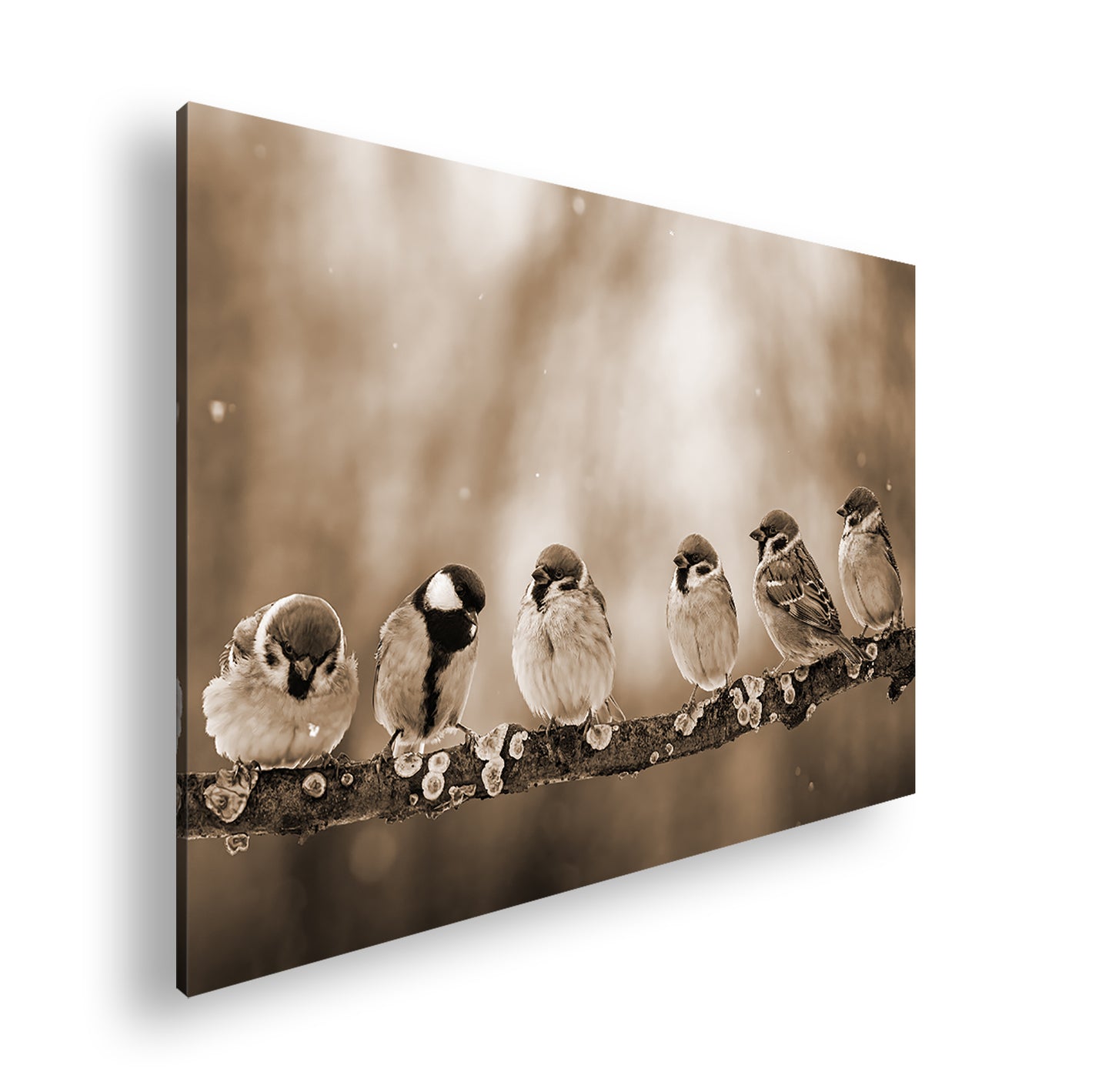 Hauptbild Sepia Standart