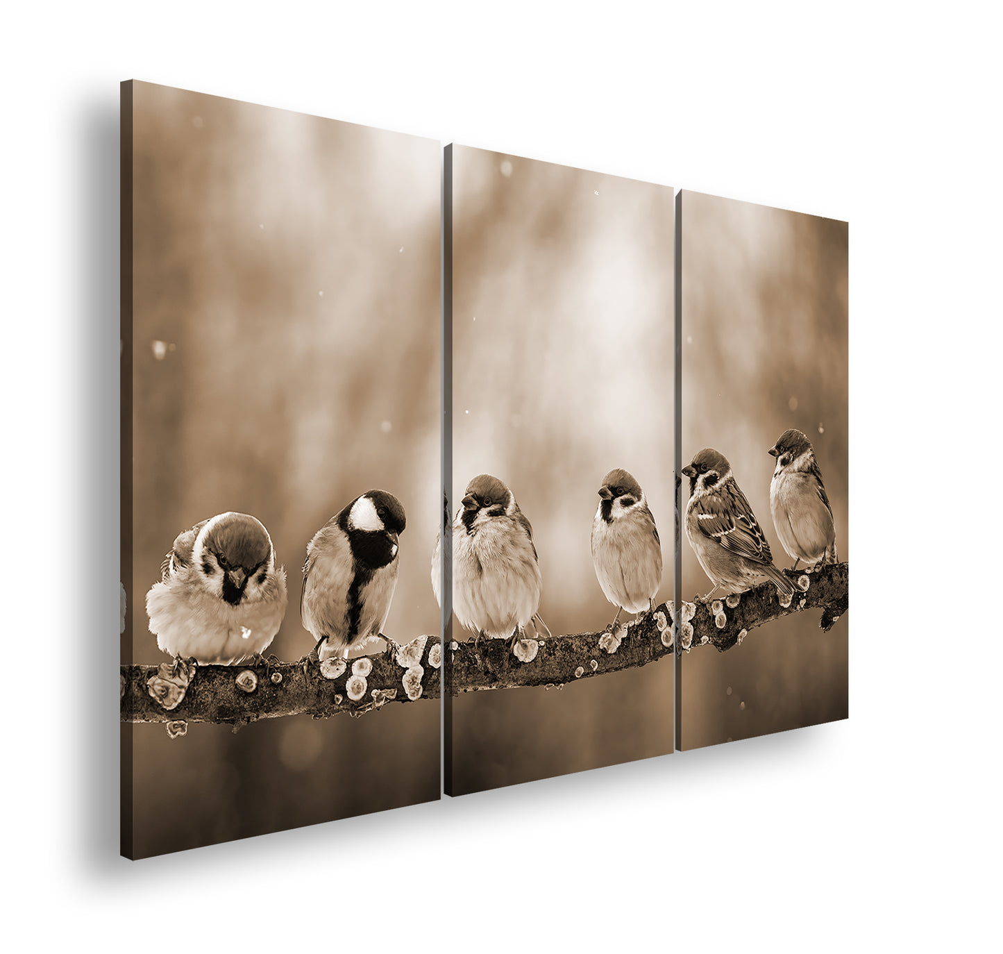 Hauptbild Sepia 3 Teilig