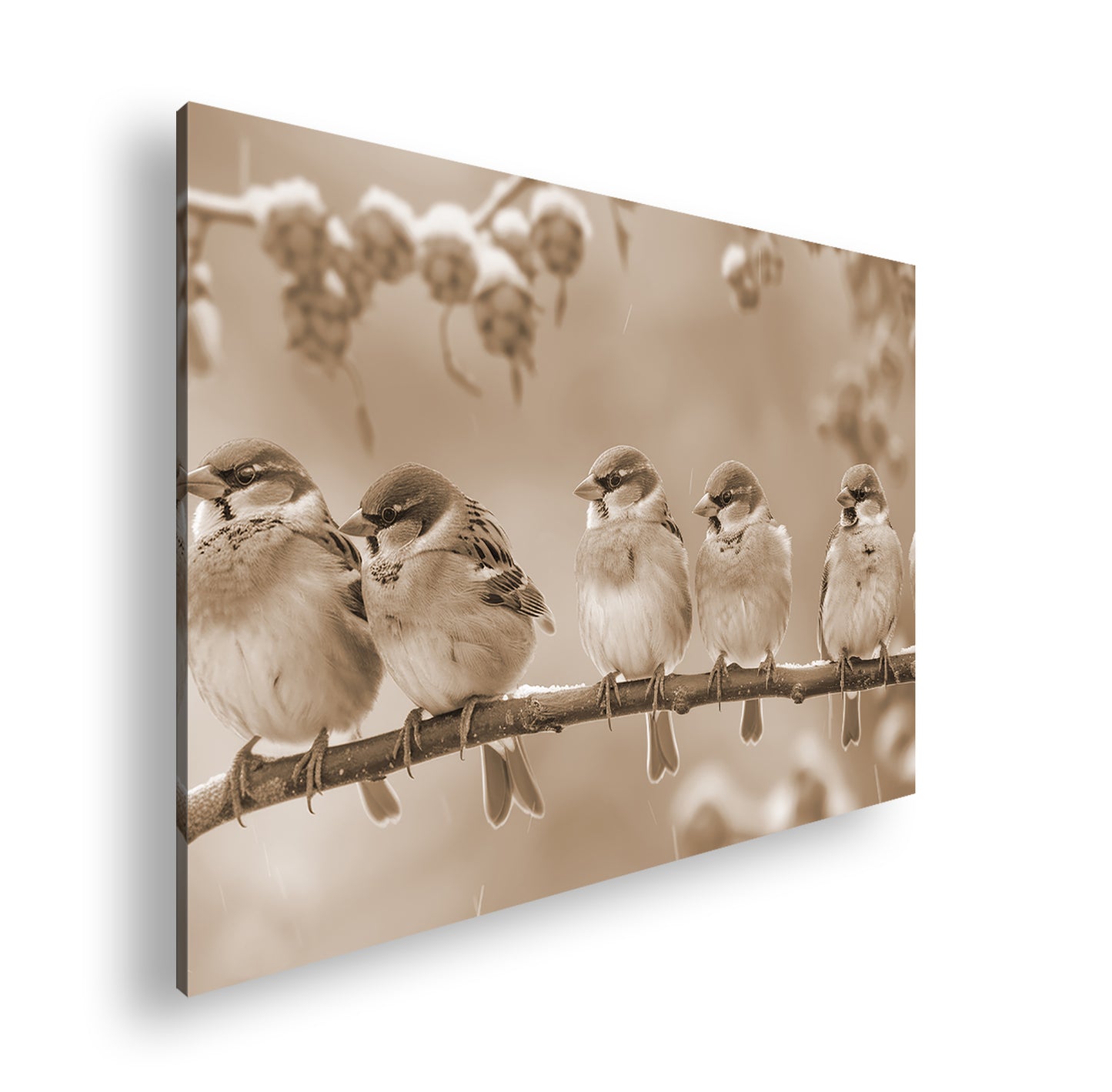 Hauptbild Sepia Standart